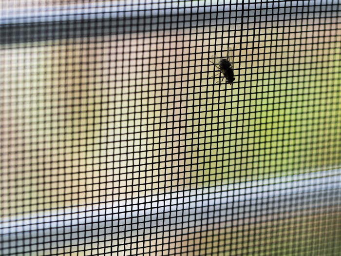 Fly Screen Mesh Protect Houses From Insects and Fly