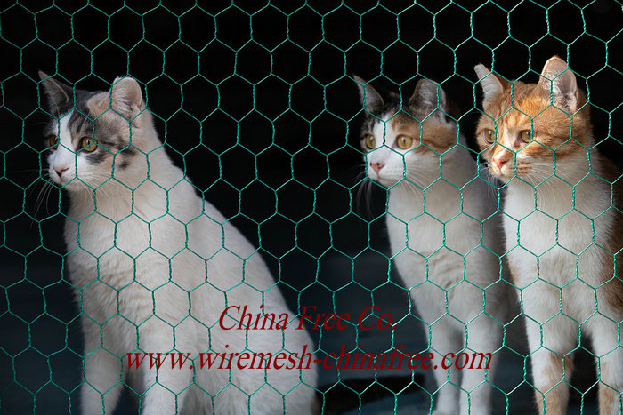 Hexagonal Wire Mesh