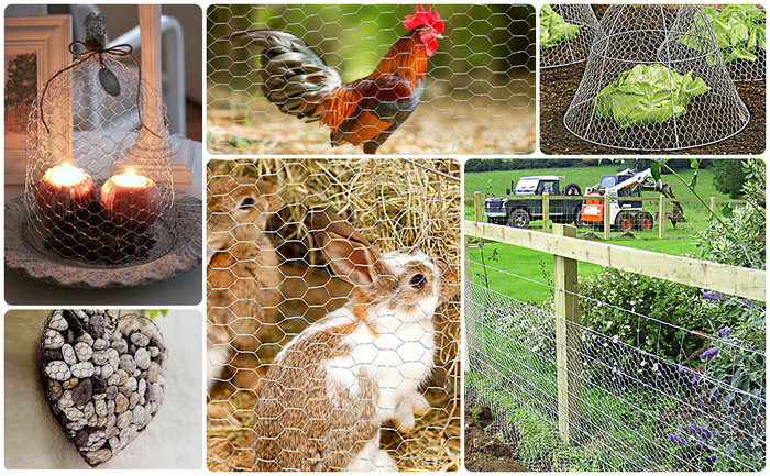 Chicken Coop Wire Mesh