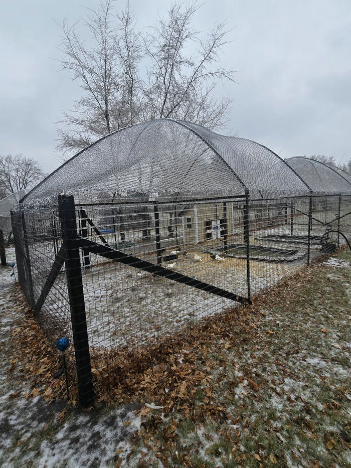 Black Vinyl coated welded wire mesh