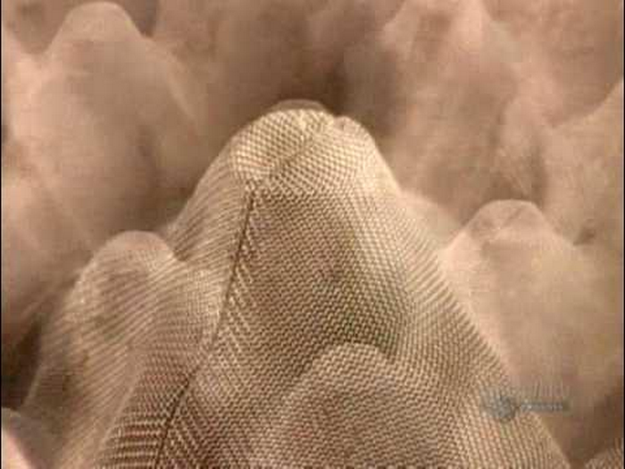 Paper Pulp Molding Mesh
